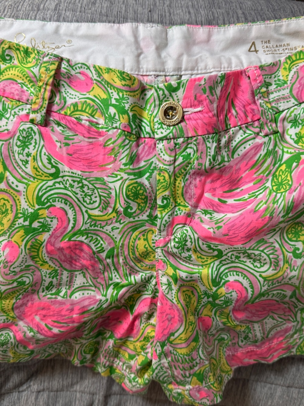 Lilly Pulitzer Pink & Green Flamingo Paisley Shorts